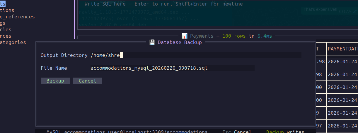dbterm backup form with source, destination, and format controls